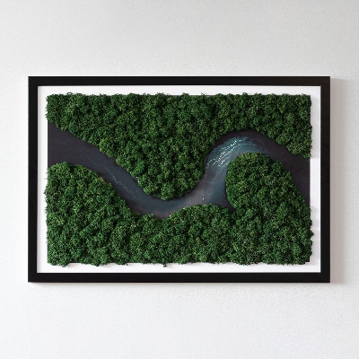 Green moss wall art River in a wilderness