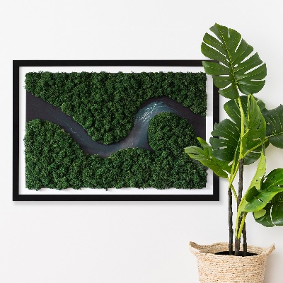 Green moss wall art River in a wilderness