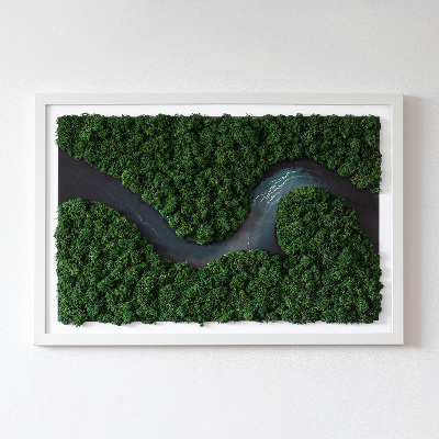 Green moss wall art River in a wilderness