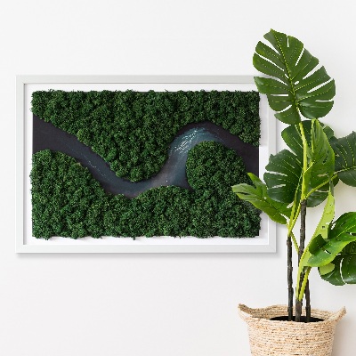 Green moss wall art River in a wilderness