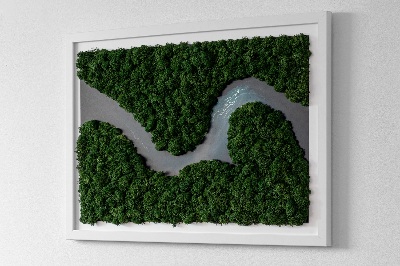 Green moss wall art River in a wilderness