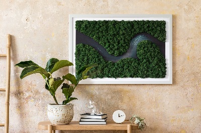 Green moss wall art River in a wilderness