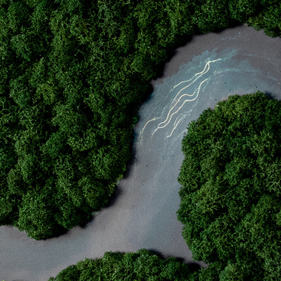 Green moss wall art River in a wilderness