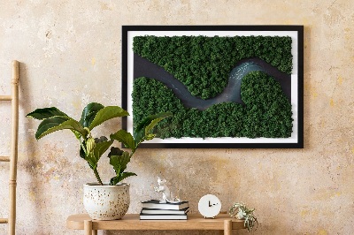 Green moss wall art River in a wilderness