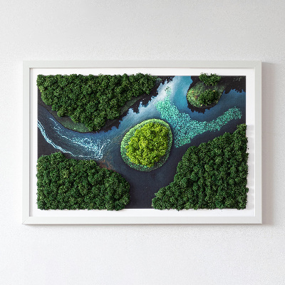 Framed moss wall art Island in a backwater