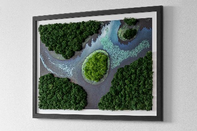 Framed moss wall art Island in a backwater