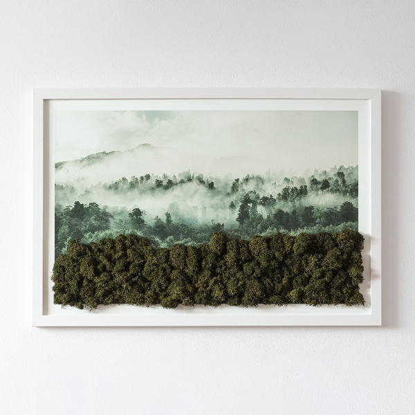 Moss wall art Forest in the mist