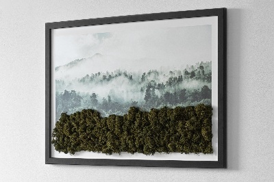 Moss wall art Forest in the mist