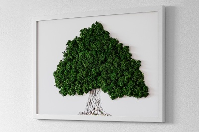 Wall moss art Tree with roots on a white background