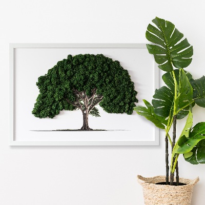 Green moss wall art Tree on a white background