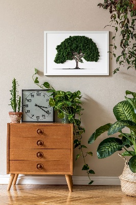 Green moss wall art Tree on a white background