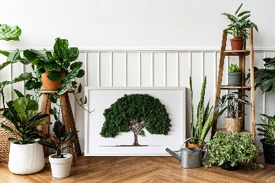 Green moss wall art Tree on a white background