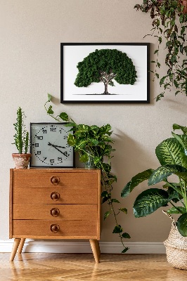 Green moss wall art Tree on a white background