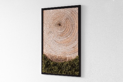 Wall moss art Wood grain