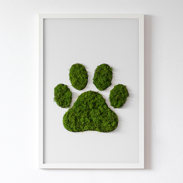 Moss wall art Paw print