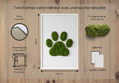 Moss wall art Paw print