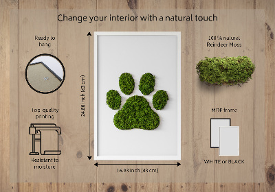 Moss wall art Paw print