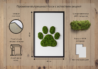 Moss wall art Paw print