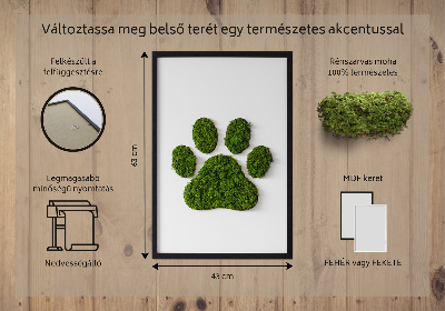 Moss wall art Paw print