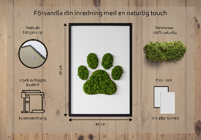 Moss wall art Paw print