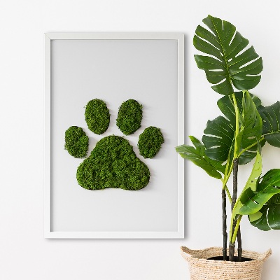 Moss wall art Paw print