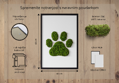 Moss wall art Paw print