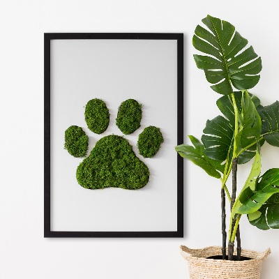 Moss wall art Paw print