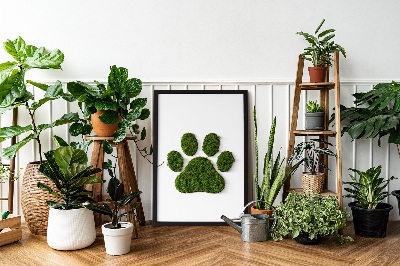 Moss wall art Paw print