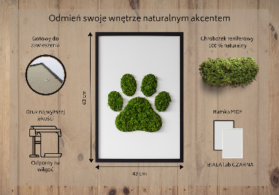 Moss wall art Paw print