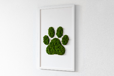 Moss wall art Paw print