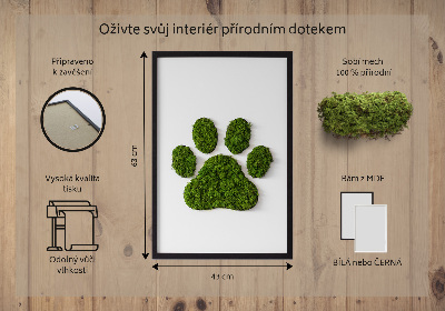 Moss wall art Paw print