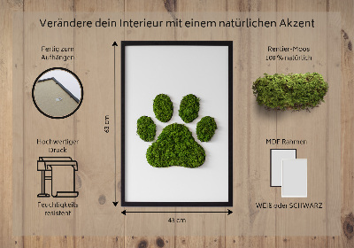 Moss wall art Paw print