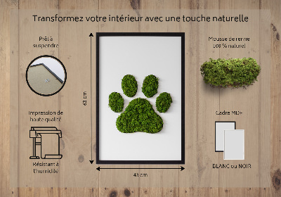 Moss wall art Paw print