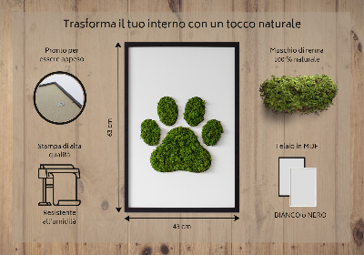 Moss wall art Paw print