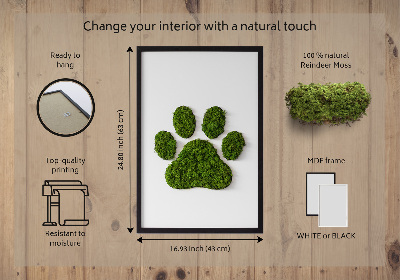 Moss wall art Paw print