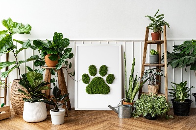 Moss wall art Paw print