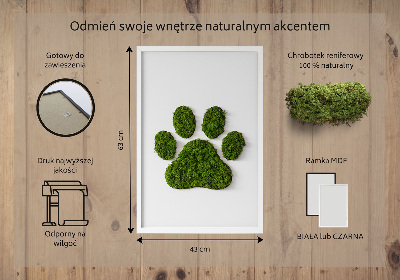 Moss wall art Paw print