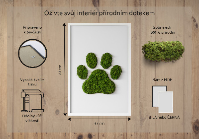 Moss wall art Paw print