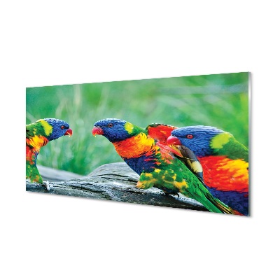 Glass print Parrot colorful wave
