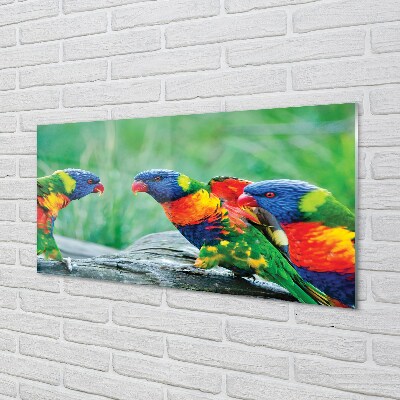 Glass print Parrot colorful wave