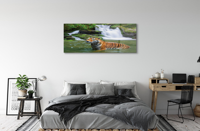 Glass print Falling water tiger
