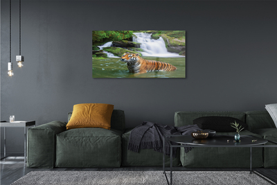 Glass print Falling water tiger