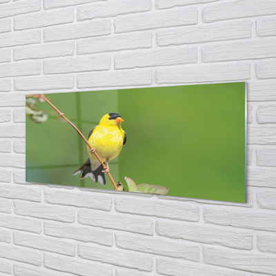 Glass print Yellow parrot