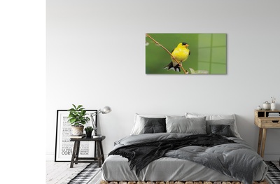 Glass print Yellow parrot