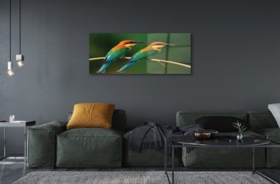 Glass print Parrot on a branch colored