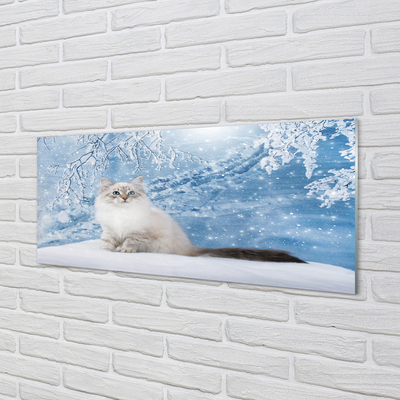 Glass print Cat winter