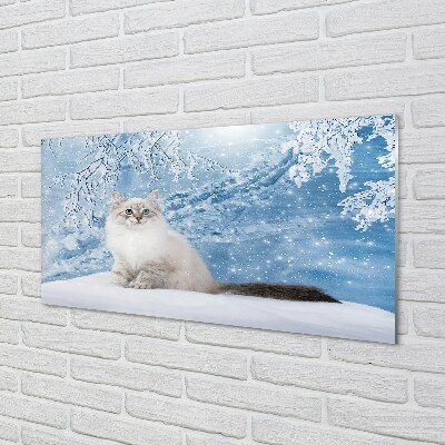 Glass print Cat winter