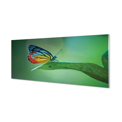 Glass print Colored butterfly journal