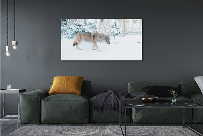 Glass print Loup winter forest