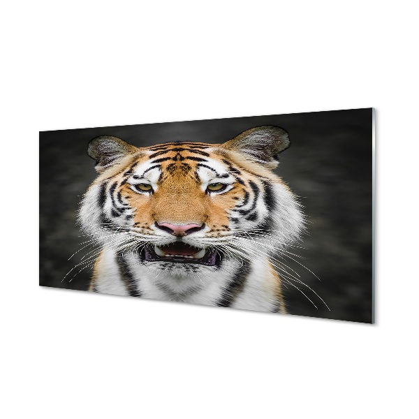 Glass print Tiger